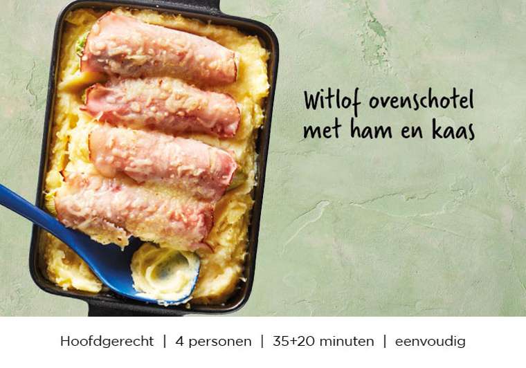 Witlof ovenschotel