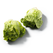 Mini Romaine Sla