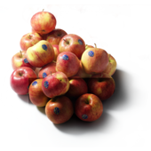 Jonagold Appels Los