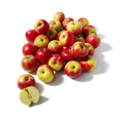 Morgana Appels Los